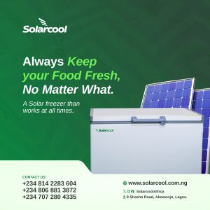 From Farm to Market: The Journey of Fresh Produce with Solarcool