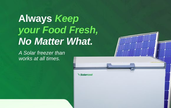From Farm to Market: The Journey of Fresh Produce with Solarcool