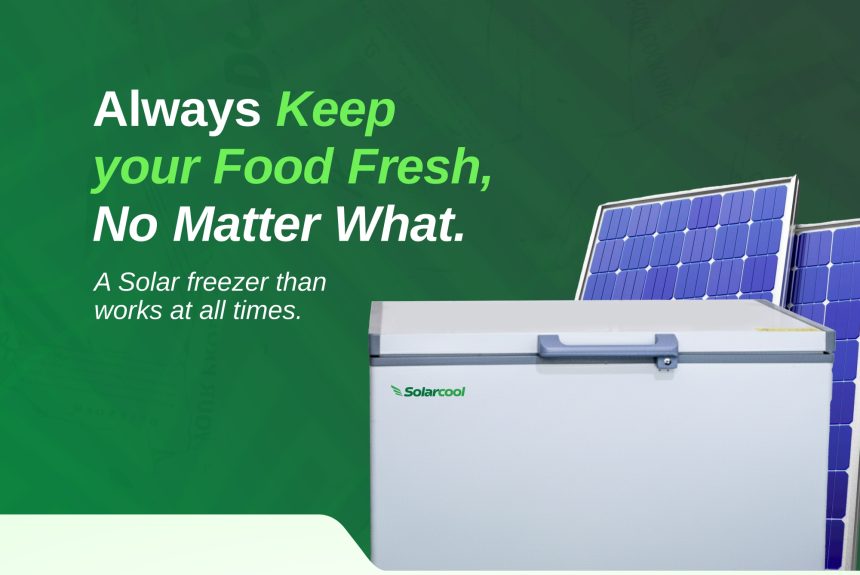 From Farm to Market: The Journey of Fresh Produce with Solarcool